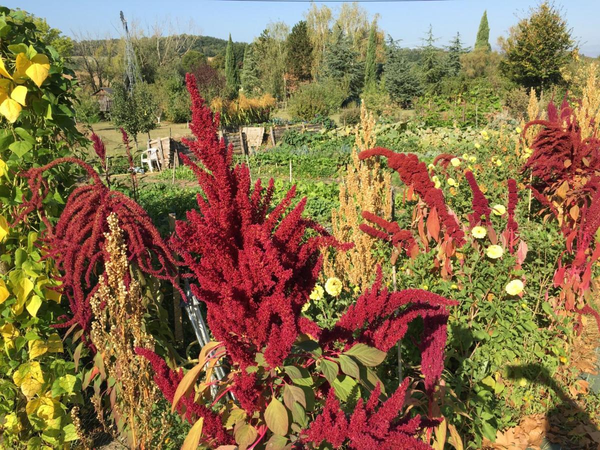 La Source, Vegetarian Guest House Chabeuil Εξωτερικό φωτογραφία