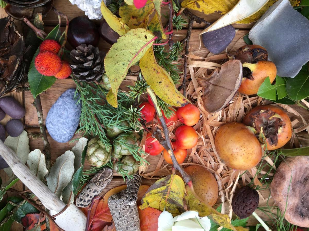 La Source, Vegetarian Guest House Chabeuil Εξωτερικό φωτογραφία