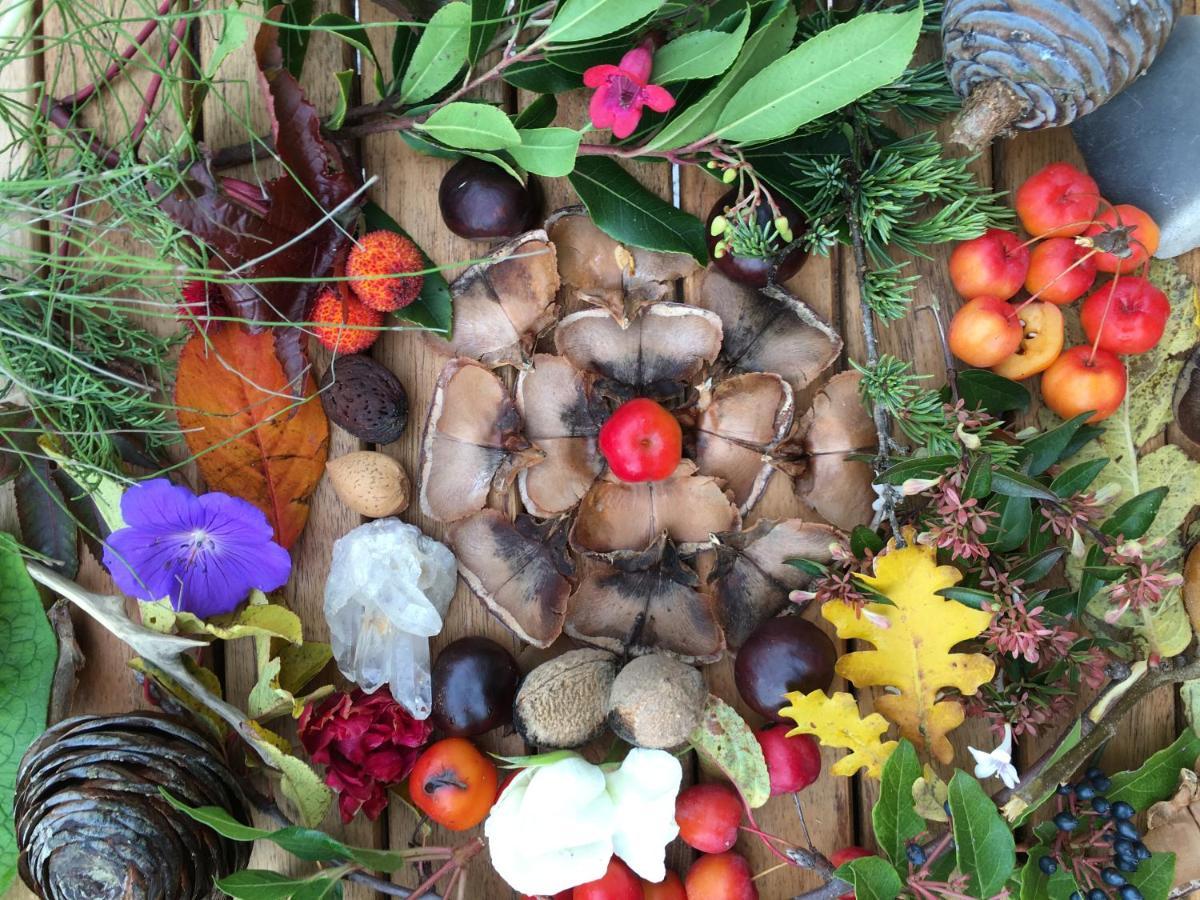 La Source, Vegetarian Guest House Chabeuil Εξωτερικό φωτογραφία