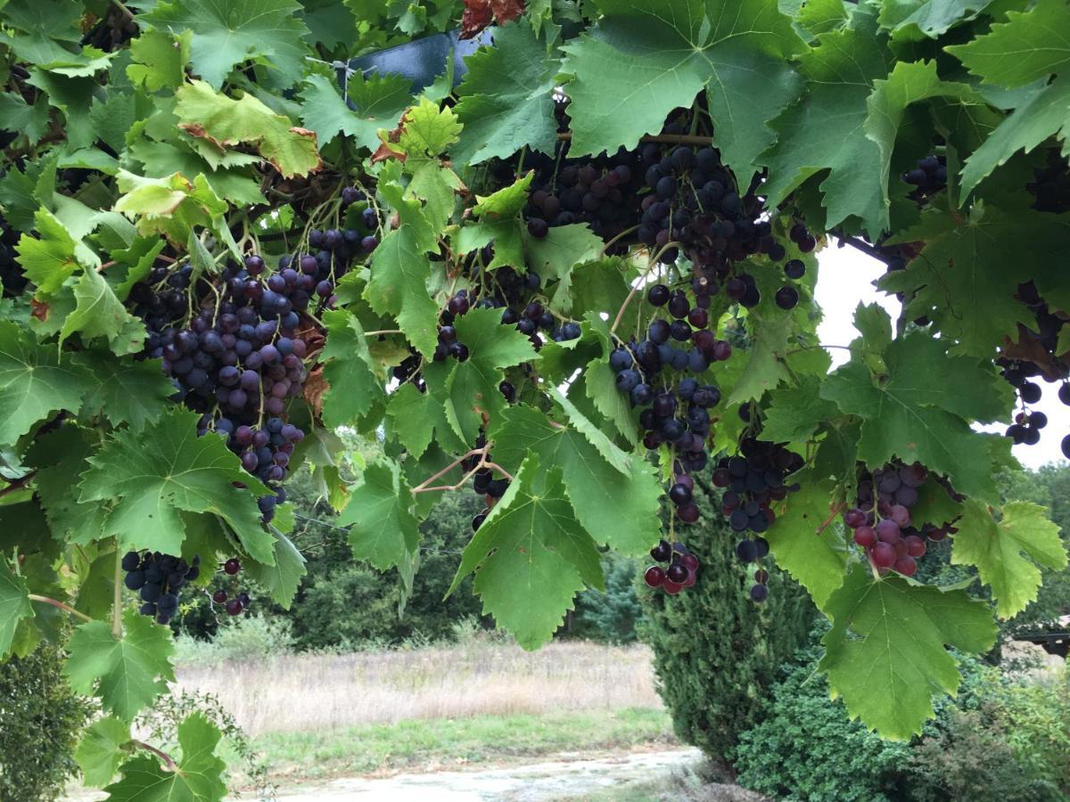 La Source, Vegetarian Guest House Chabeuil Εξωτερικό φωτογραφία
