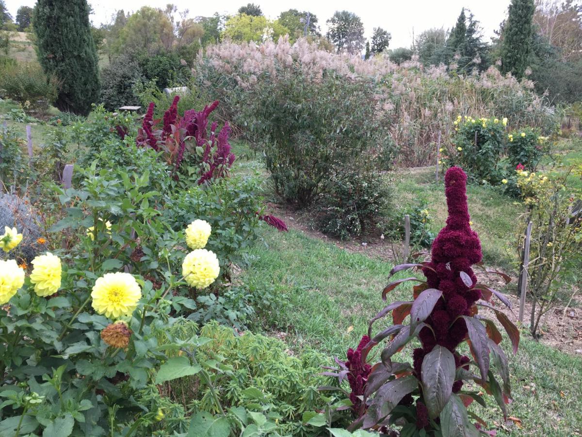 La Source, Vegetarian Guest House Chabeuil Εξωτερικό φωτογραφία