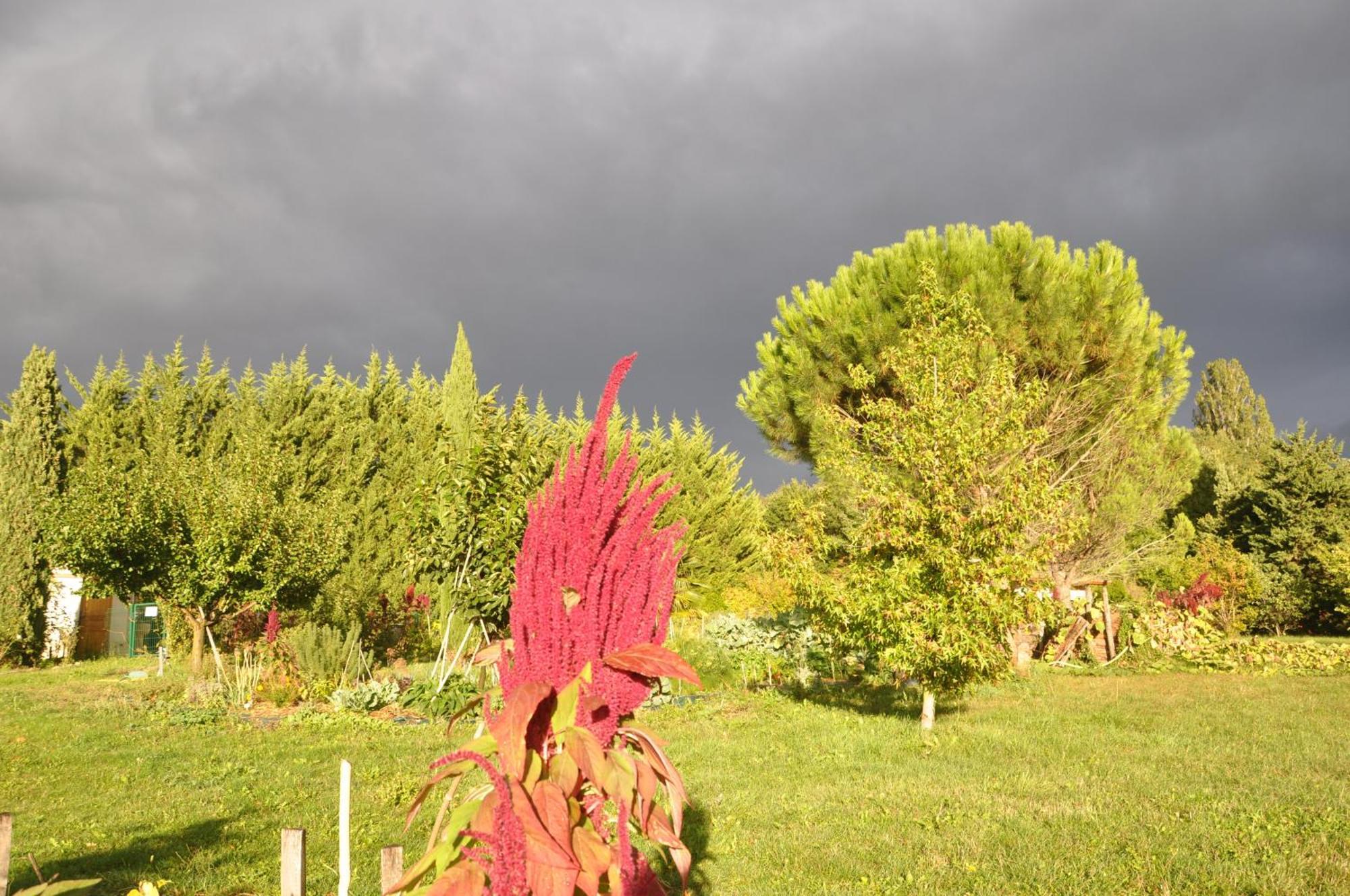 La Source, Vegetarian Guest House Chabeuil Εξωτερικό φωτογραφία
