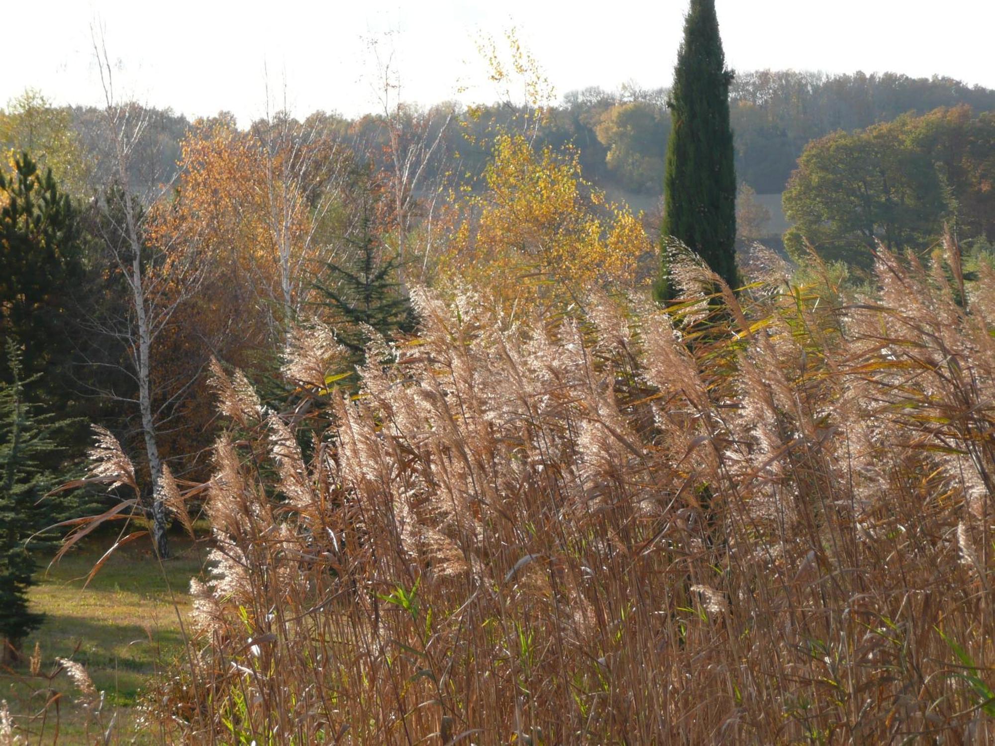 La Source, Vegetarian Guest House Chabeuil Εξωτερικό φωτογραφία