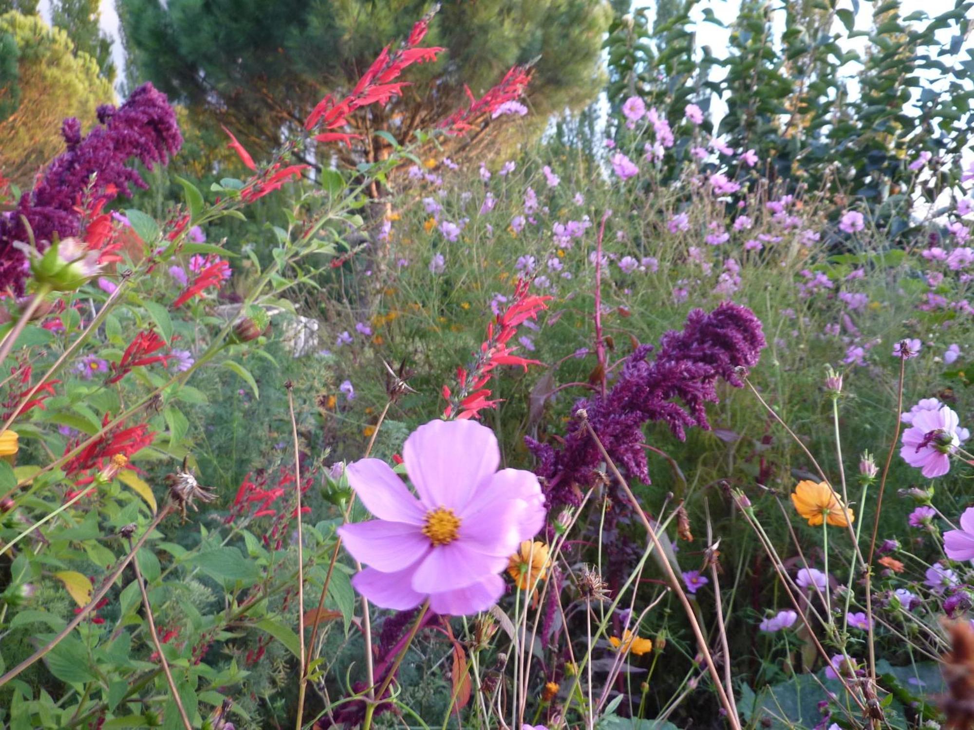 La Source, Vegetarian Guest House Chabeuil Εξωτερικό φωτογραφία