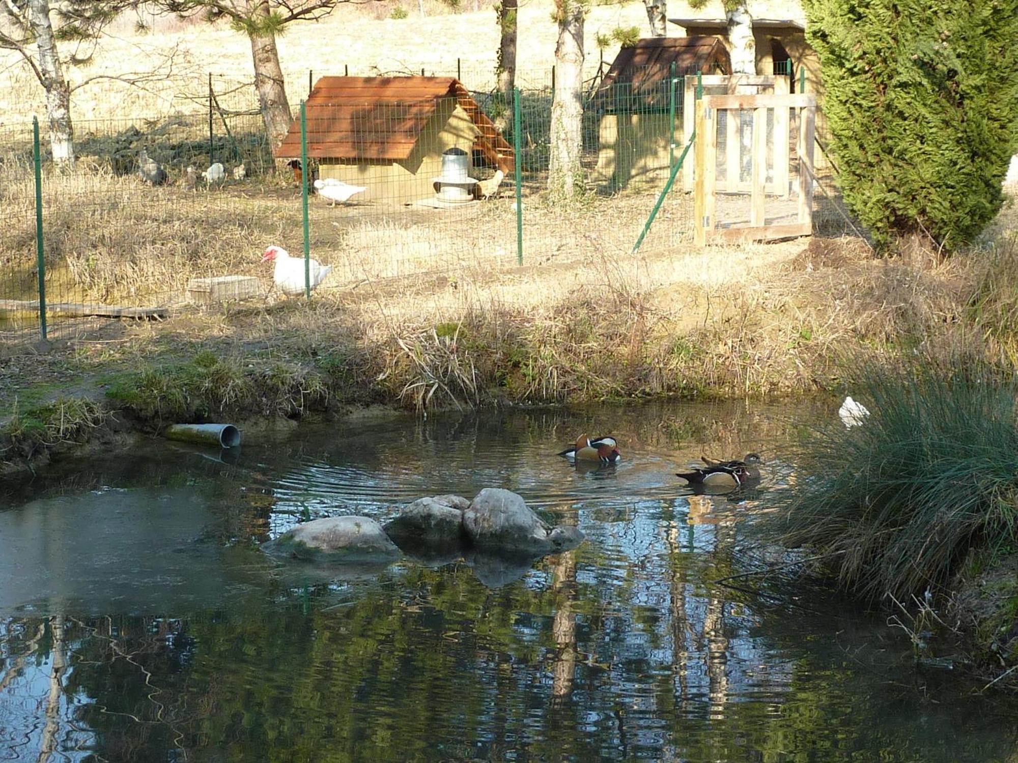 La Source, Vegetarian Guest House Chabeuil Εξωτερικό φωτογραφία