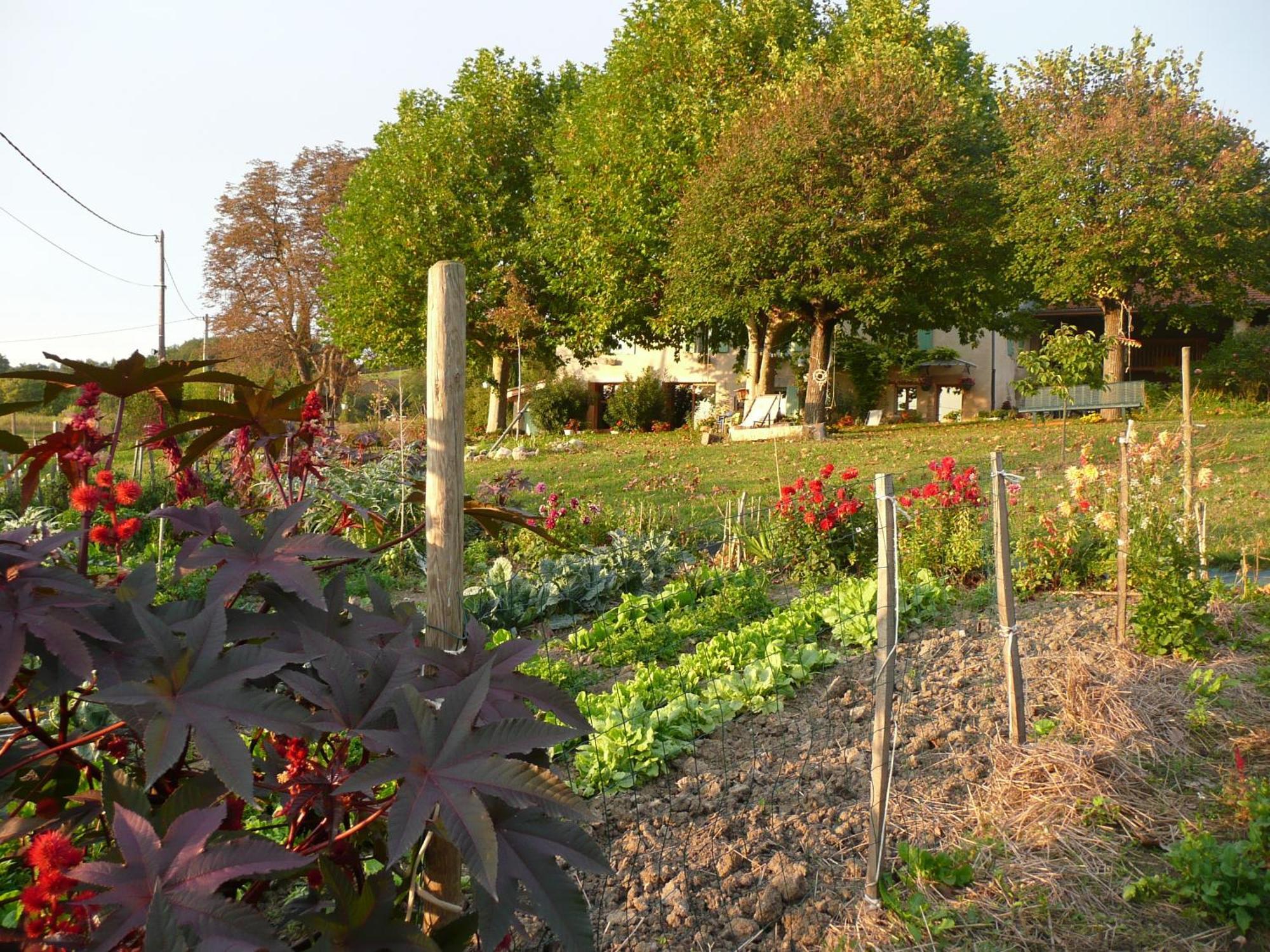 La Source, Vegetarian Guest House Chabeuil Εξωτερικό φωτογραφία